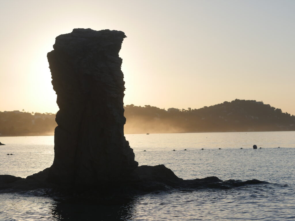 Pipady Est, Toulon